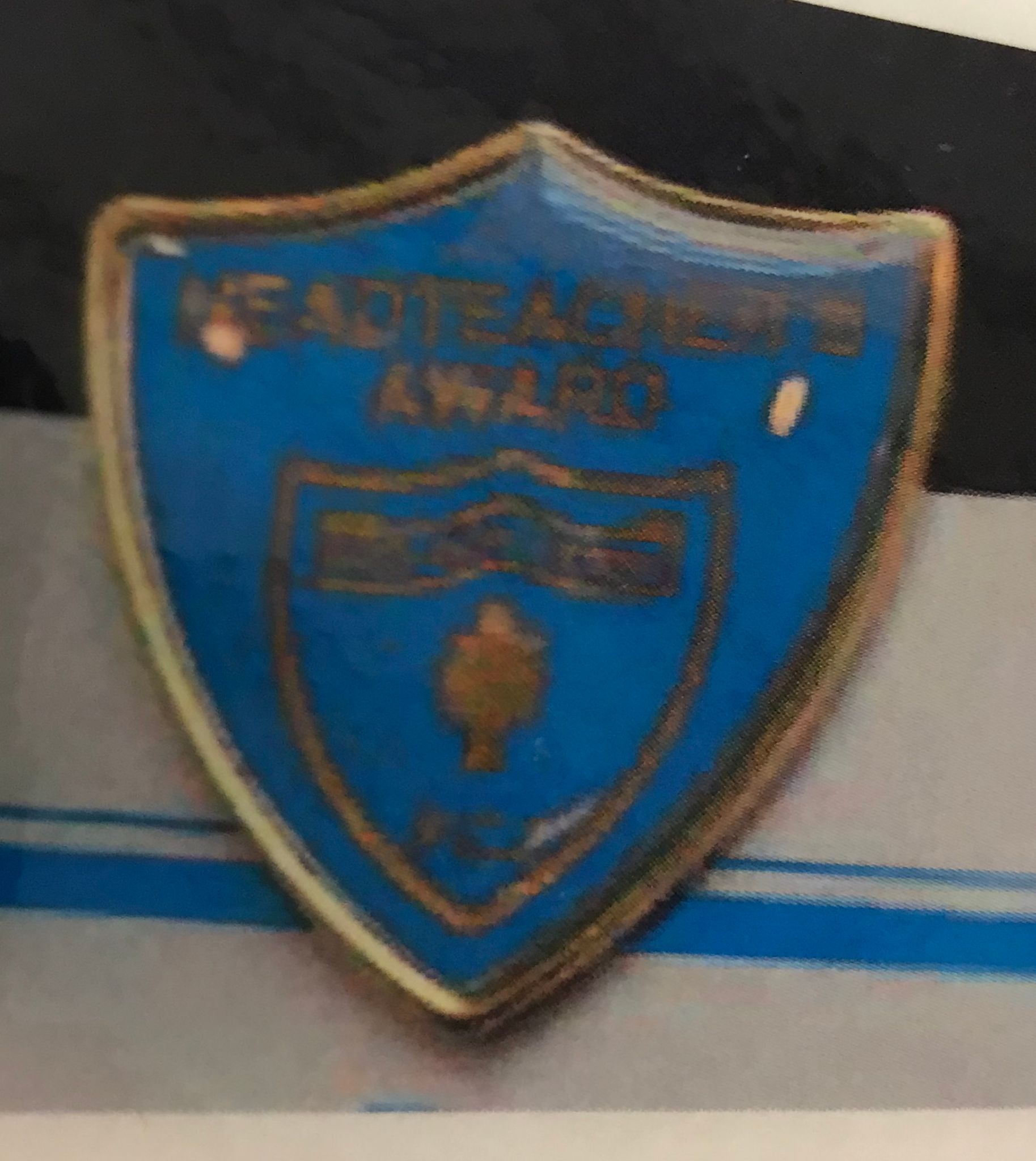 FCJ_Headteacher's_Award